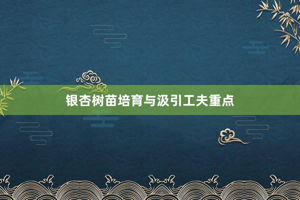 银杏树苗培育与汲引工夫重点